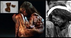 500 Years old Inca Boy Mummy and Lung Tissue