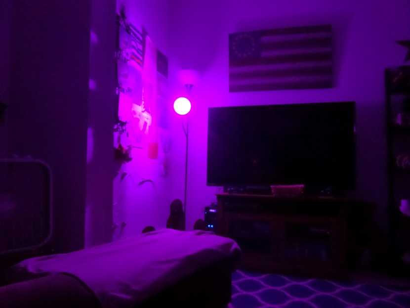 purple light bulb room