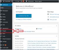 remove-installed-plugin-wordpress-speed-up-your-site