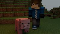 C:\Users\PK\Desktop\JOB\Eva\minecraft-325652__340.jpg